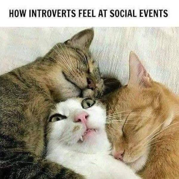 Memes And Pictures About Failures (44 pics)