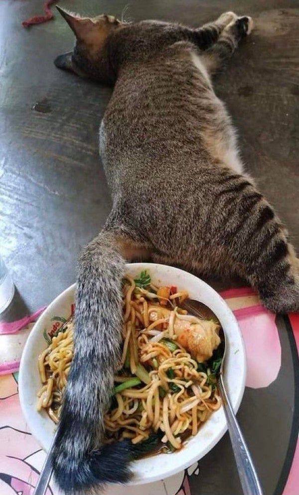 Memes And Pictures About Failures (44 pics)