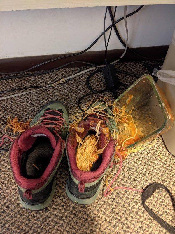 Memes And Pictures About Failures (44 pics)
