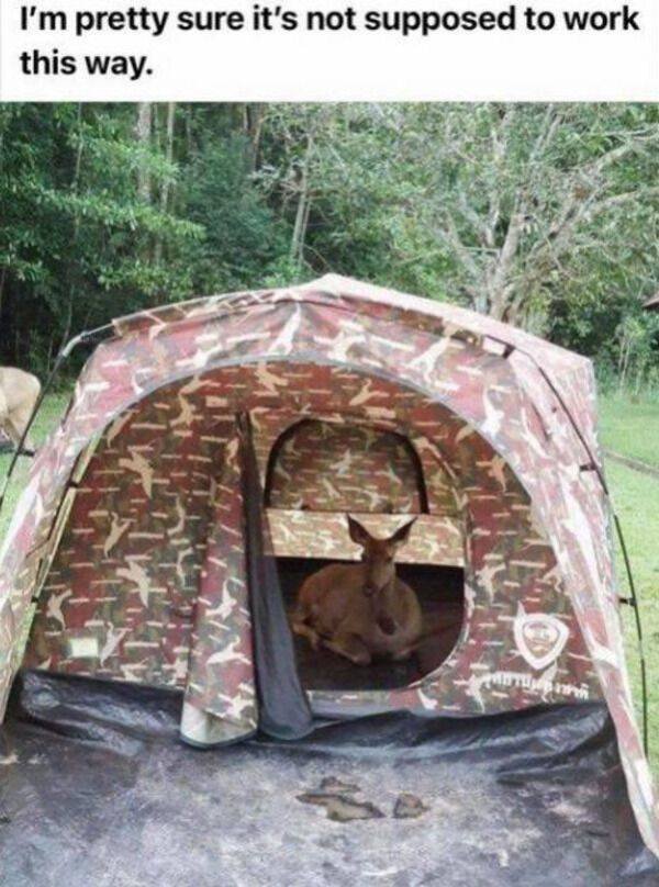 Memes And Pictures About Failures (44 pics)
