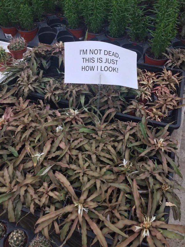 Memes And Pictures About Failures (44 pics)
