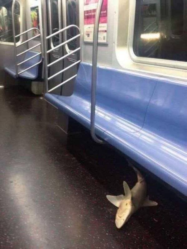 Strange People In The Subway (44 pics)
