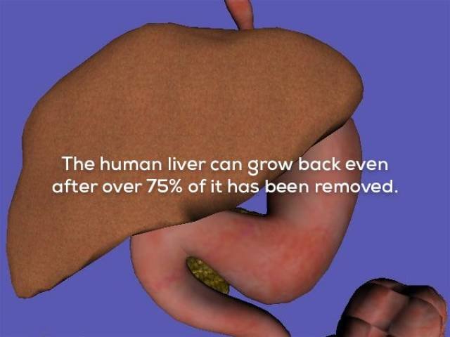 Creepy Facts (29 pics) Creepy Facts (29 pics)