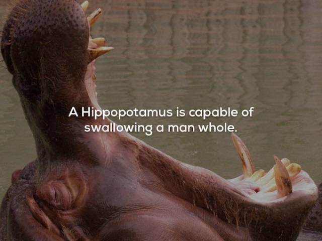 Creepy Facts (29 pics) Creepy Facts (29 pics)
