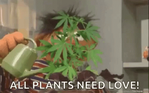 Courier Stories (16 gifs) Courier Stories (16 gifs)