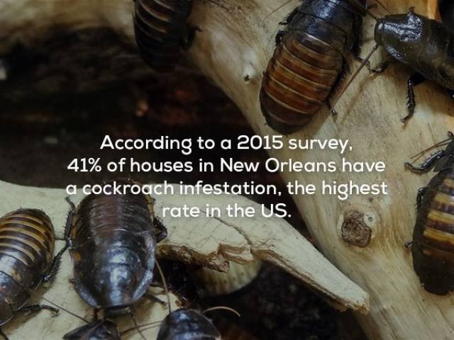 Creepy Facts (29 pics) Creepy Facts (29 pics)