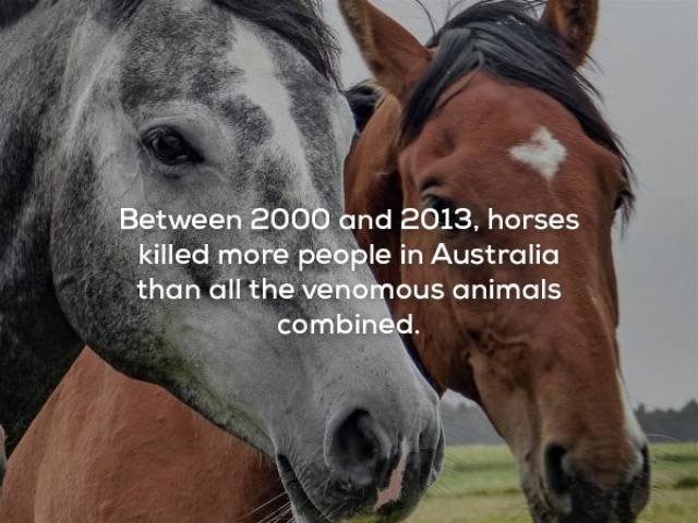 Creepy Facts (29 pics) Creepy Facts (29 pics)