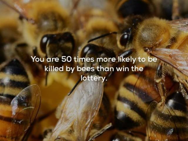 Creepy Facts (29 pics) Creepy Facts (29 pics)