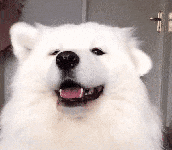 Courier Stories (16 gifs) Courier Stories (16 gifs)