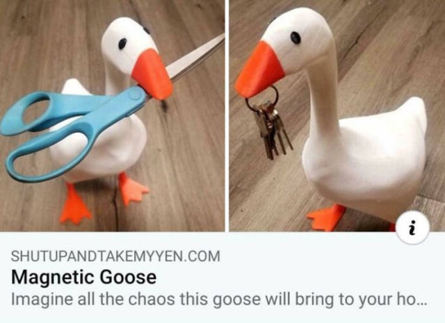 Unusual Finds (47 pics) Unusual Finds (47 pics)