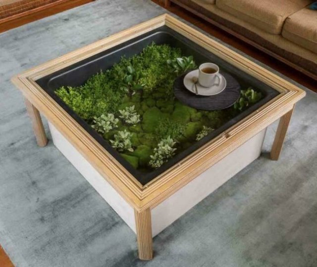Unusual Finds (47 pics) Unusual Finds (47 pics)