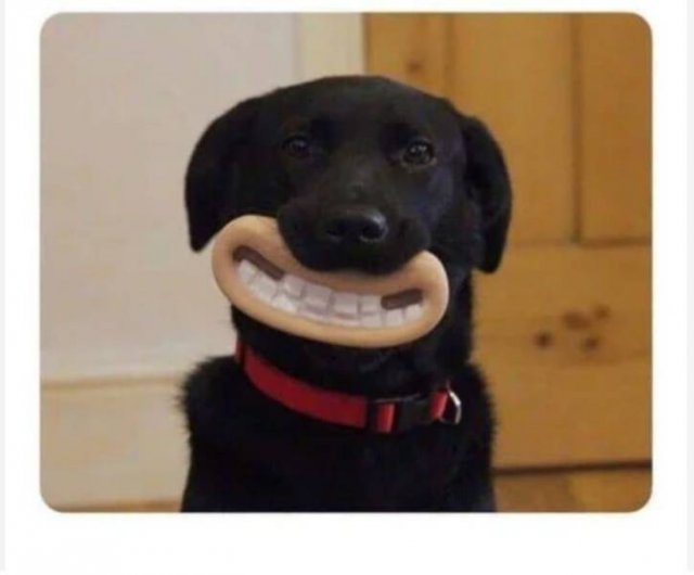 Unusual Finds (47 pics) Unusual Finds (47 pics)
