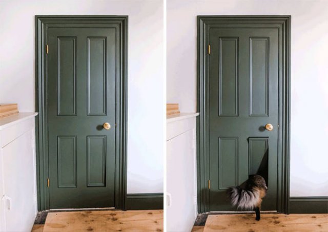 Unusual Finds (47 pics) Unusual Finds (47 pics)