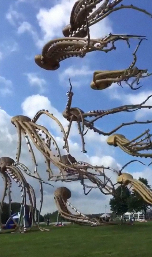 Unusual Finds (47 pics) Unusual Finds (47 pics)