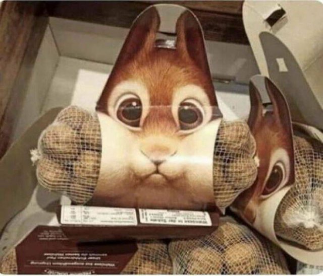 Unusual Finds (47 pics) Unusual Finds (47 pics)