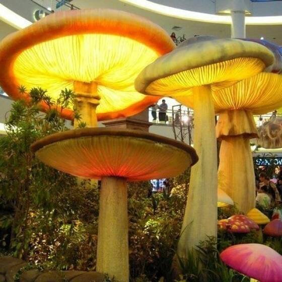 Unusual Designs (35 pics)