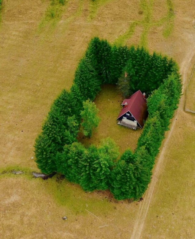 Unusual Designs (35 pics)