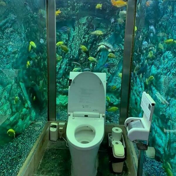 Unusual Designs (35 pics)