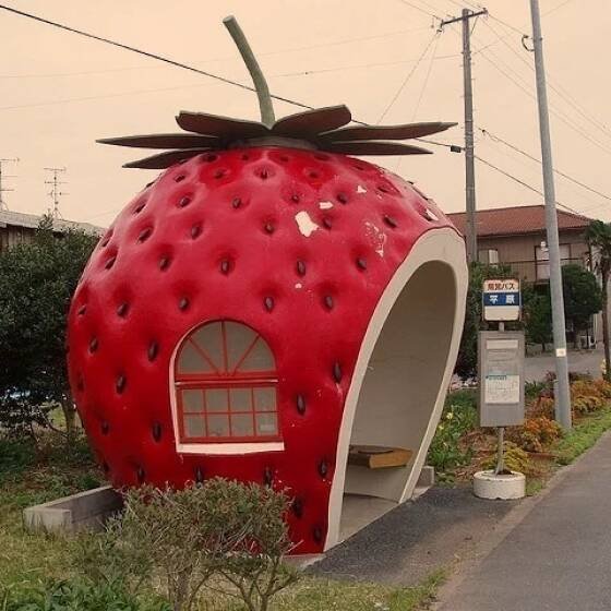 Unusual Designs (35 pics)
