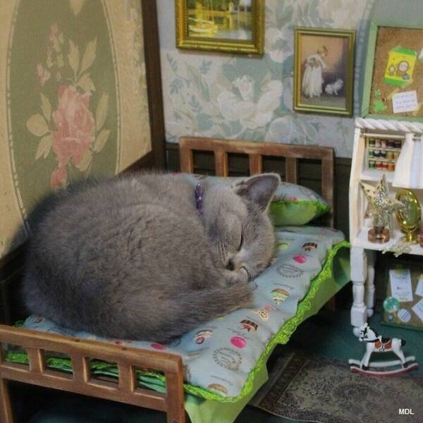 Unusual Designs (35 pics)