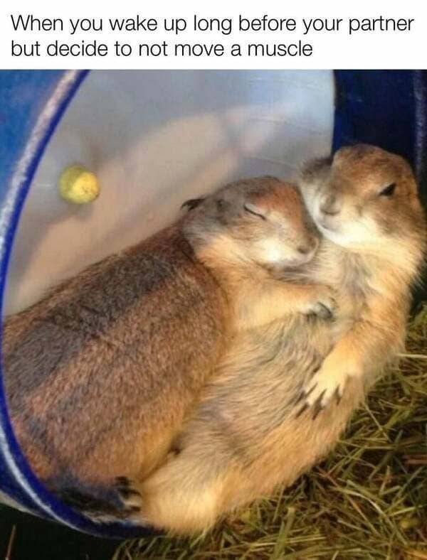 Kind Memes (39 pics)