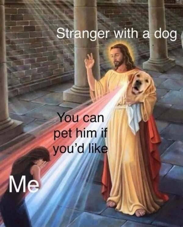 Kind Memes (39 pics)