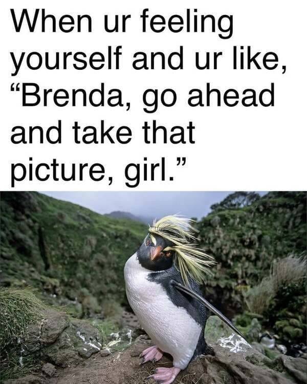 Kind Memes (39 pics)