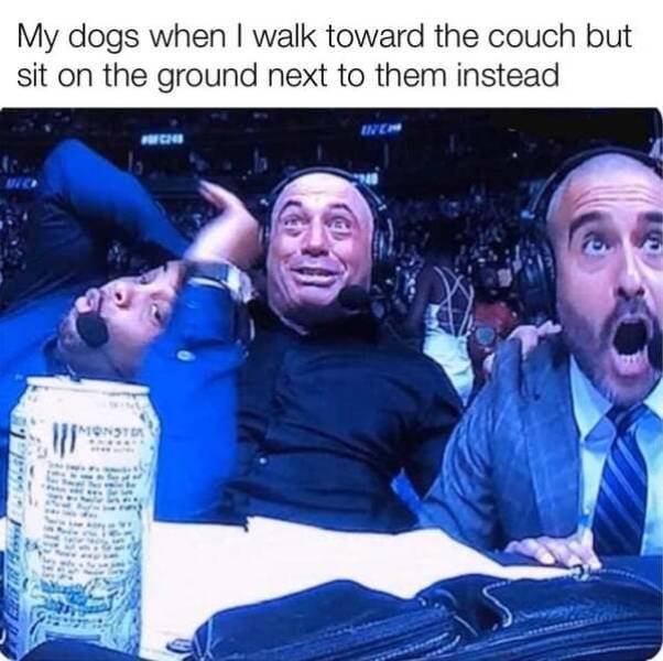 Kind Memes (39 pics)