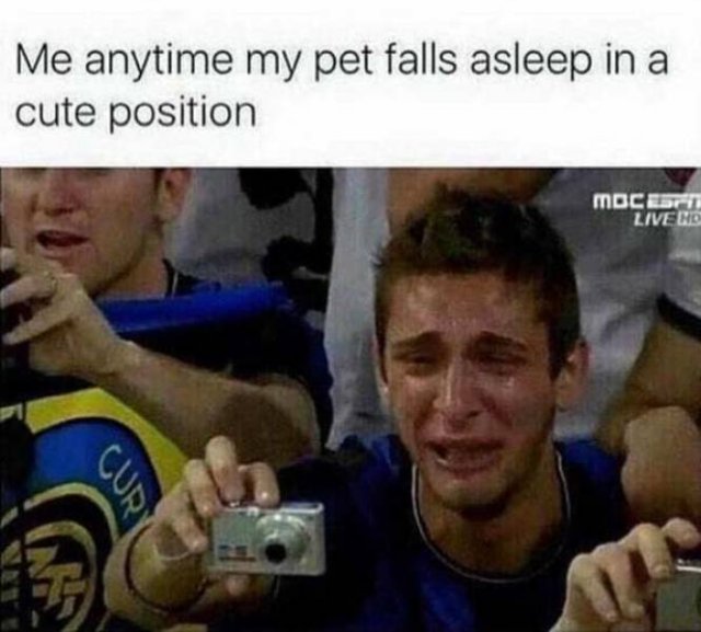 Kind Memes (39 pics)