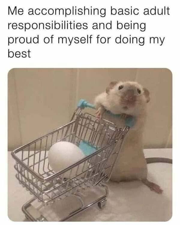 Kind Memes (39 pics)