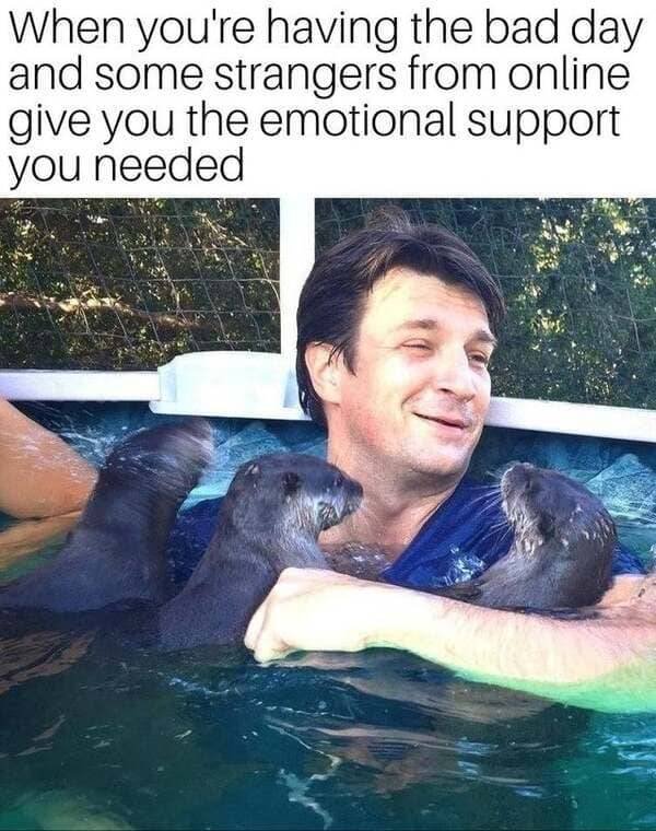 Kind Memes (39 pics)