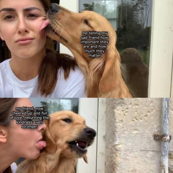 Kind Memes (39 pics)