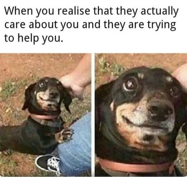 Kind Memes (39 pics)