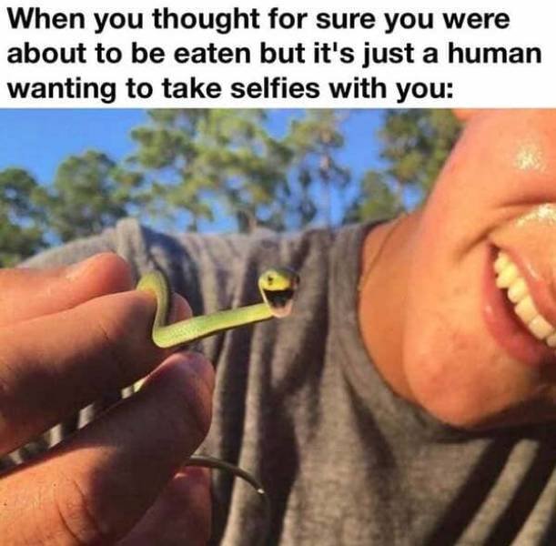 Kind Memes (39 pics)