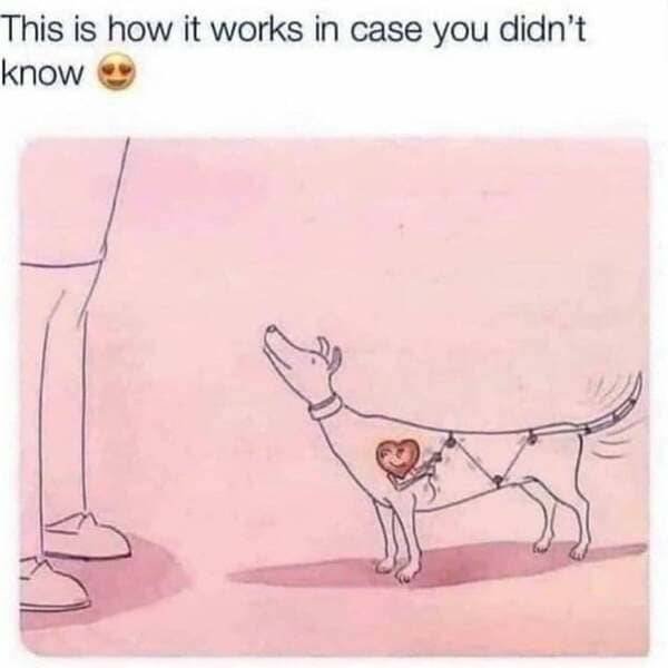 Kind Memes (39 pics)