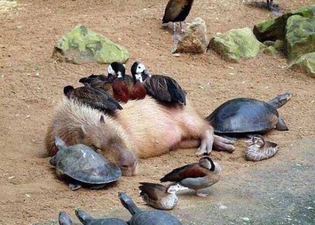What Is Going On Here? (45 pics)