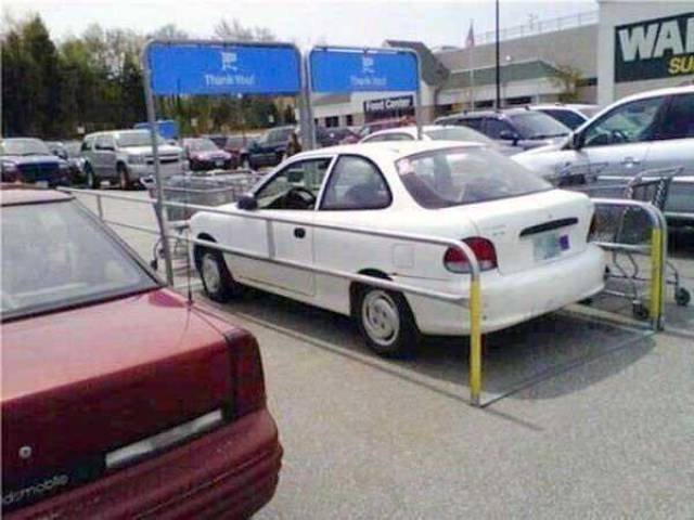 What Is Going On Here? (45 pics)
