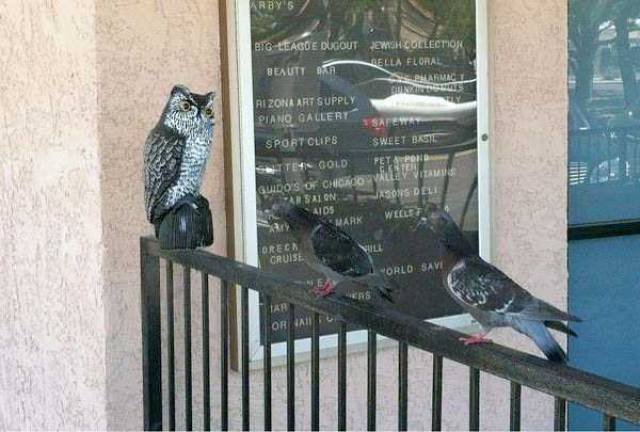 What Is Going On Here? (45 pics)
