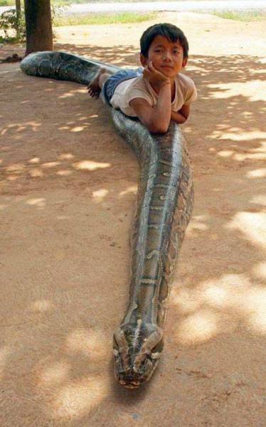 What Is Going On Here? (45 pics)