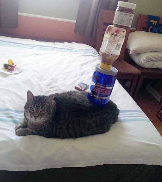 What Is Going On Here? (45 pics)