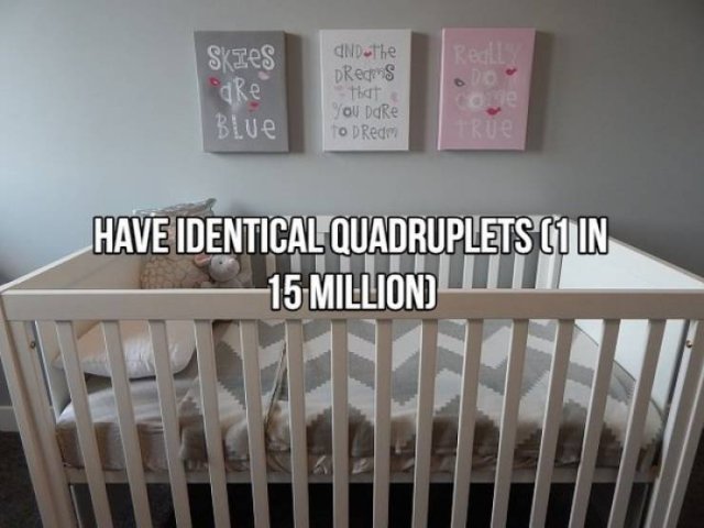 What Are The Chances? (20 pics) What Are The Chances? (20 pics)