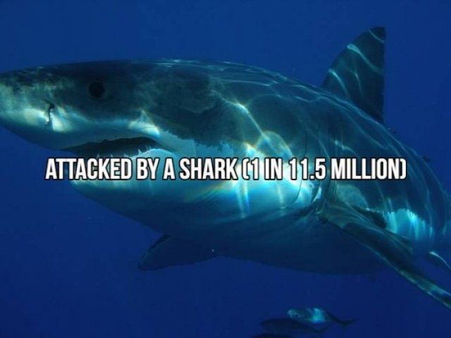 What Are The Chances? (20 pics) What Are The Chances? (20 pics)