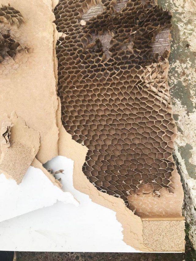 Interesting Finds And Discoveries (37 pics)