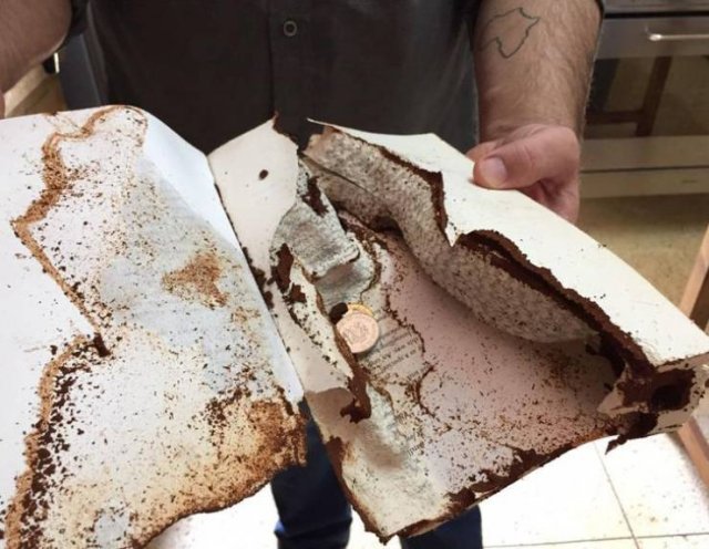 Interesting Finds And Discoveries (37 pics)