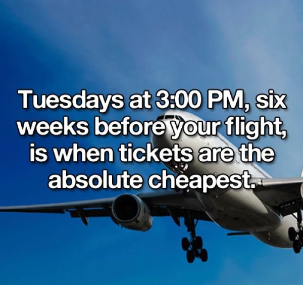 Useful Lifehacks (25 pics)