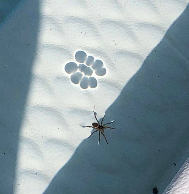Interesting Finds And Discoveries (37 pics)