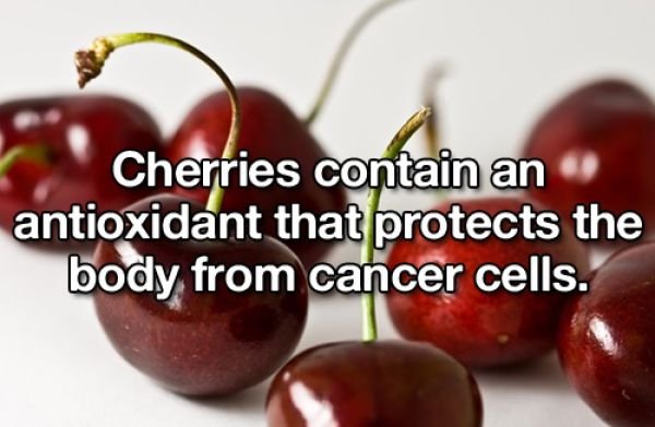 Useful Lifehacks (25 pics)