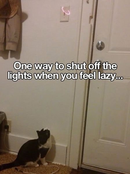 Useful Lifehacks (25 pics)