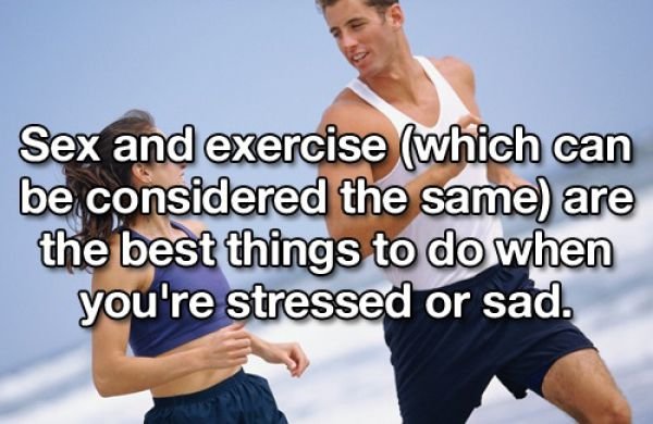 Useful Lifehacks (25 pics)