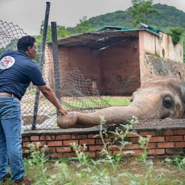 Interesting Finds And Discoveries (37 pics)
